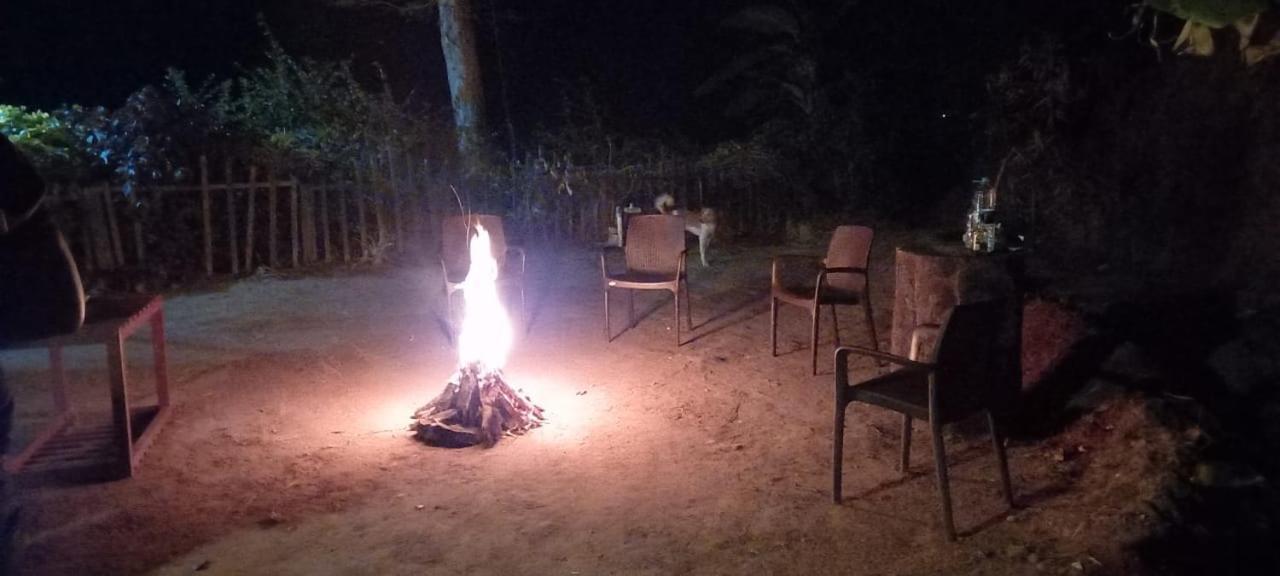 Westernghats Homestay ماديكيري المظهر الخارجي الصورة